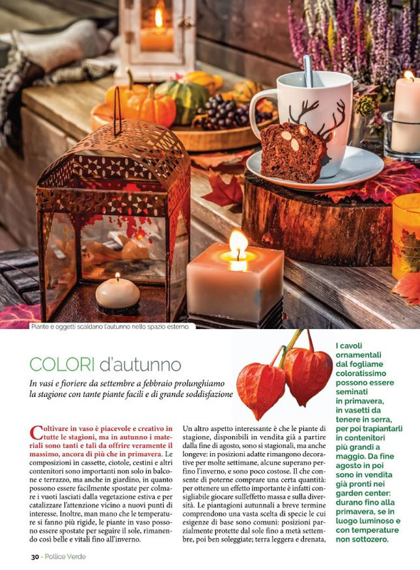 Pol Ver Ott 2022 (7)