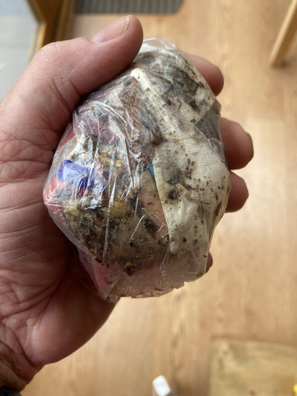 5427754E-5860-413D-A247-411DB5A795C2