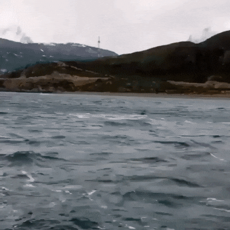 daily-gifdump-3386-02.gif
