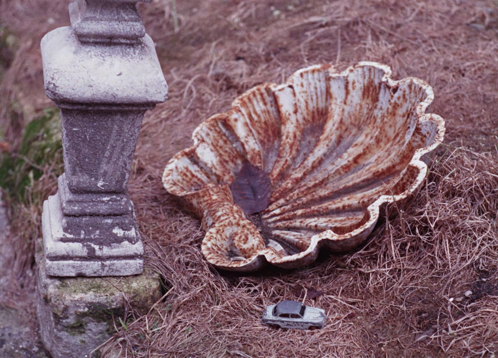 vlcsnap-2025-01-12-19h32m17s975