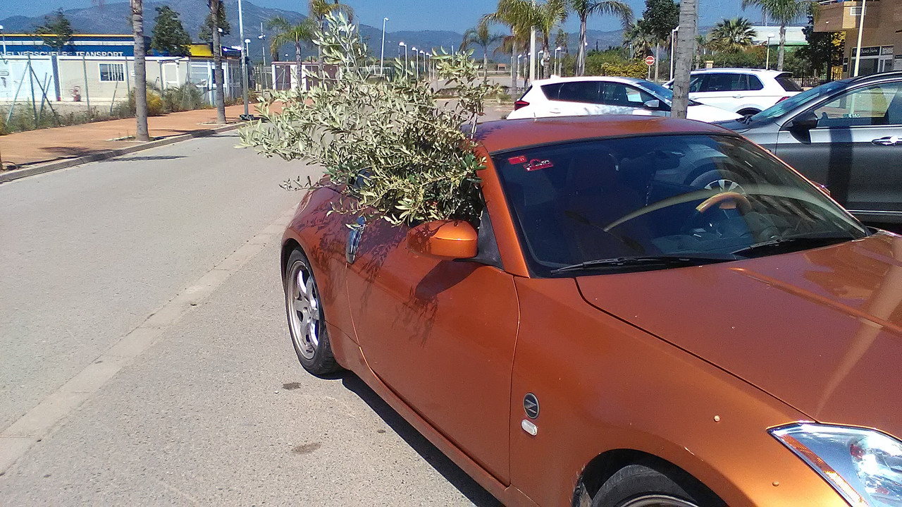 WP_20210508_11_44_44_Pro