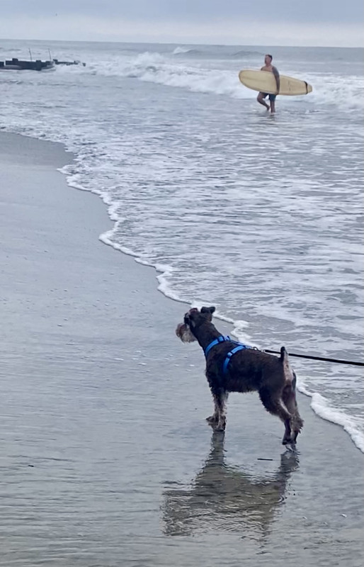 FBB2A16D-E7CE-47A6-A099-0F227EEC7007