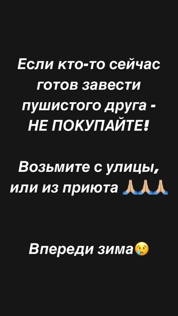 https://i.postimg.cc/BvTzrq3H/media.jpg