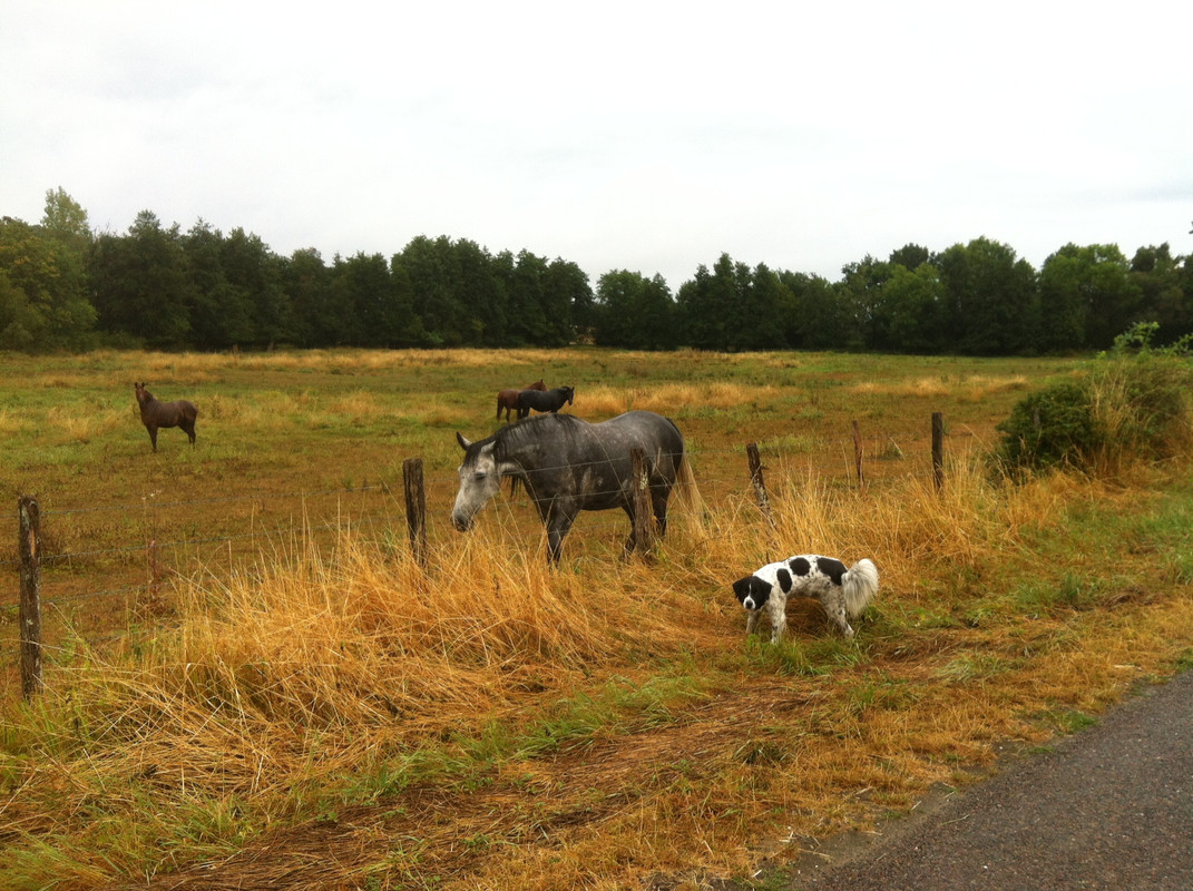 2A5C4715-78E2-4FBC-8E68-F1663A88B120