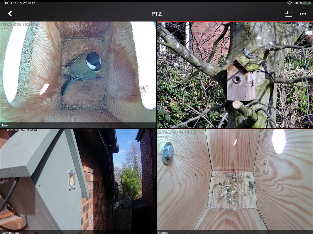 B6921876-BE36-4A7B-9907-F2998D66C0BB