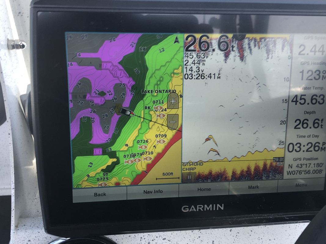 8D1AE484-672C-4AF0-8DA4-CD26EBEBC277