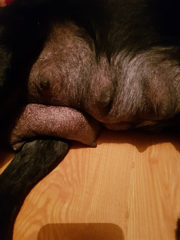 27F19724-90F6-4C6F-A10E-BCE4482A60AF