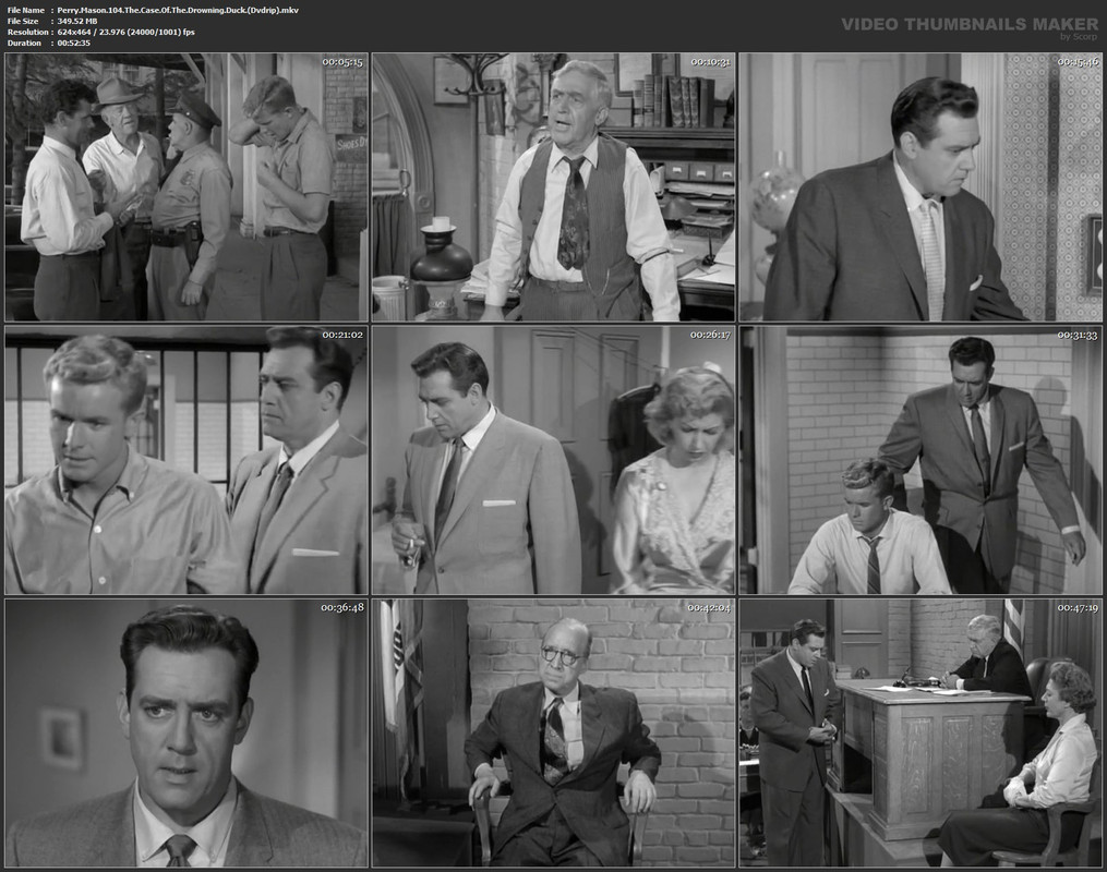 Perry.Mason.104.The.Case.Of.The.Drowning.Duck.(Dvdrip).mkv