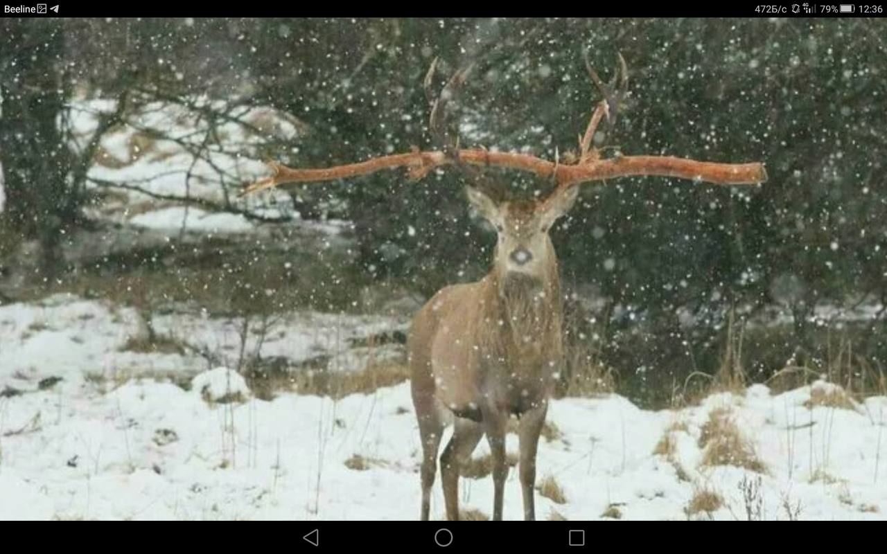 Screenshot_2023-02-06-12-36-16