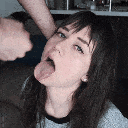 [Image: Brisk-Valid-Anole-small.gif]