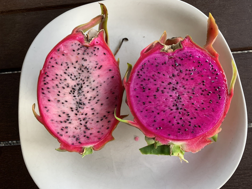 A5EF0FF7-8188-478E-B009-6DEC8CEF4958