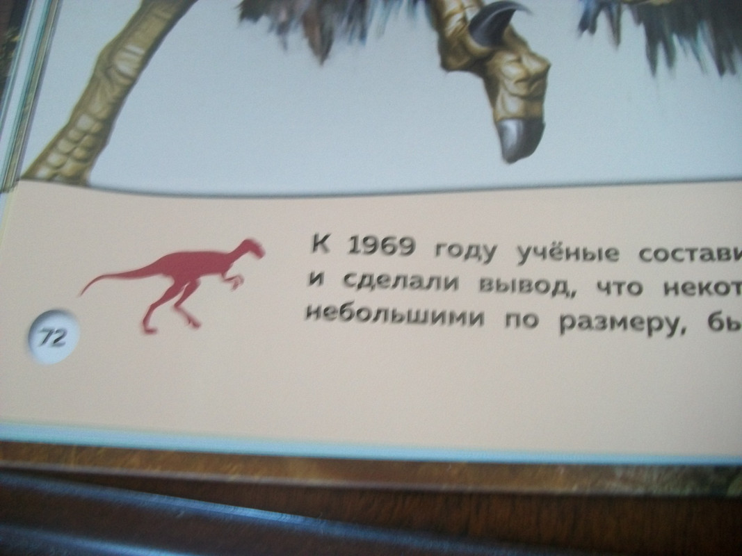 100_7545