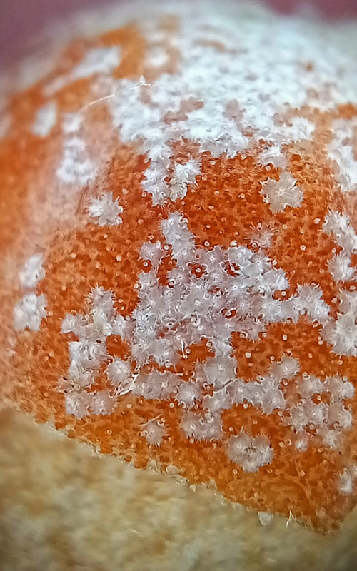 20250211-153149
