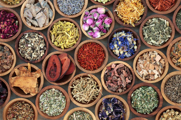organic plant extracts