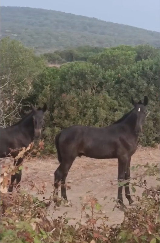 Screenshot_20250819_101110_WhatsApp