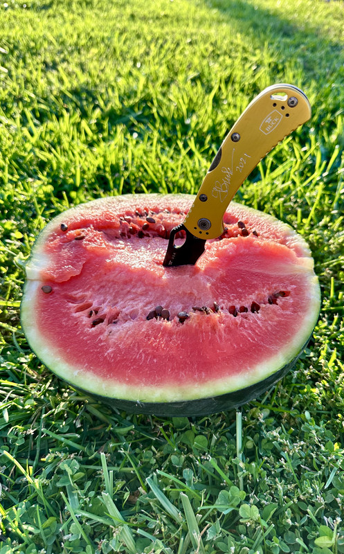 B14ECD14-7E61-4E5E-AF63-862217A8FDAD