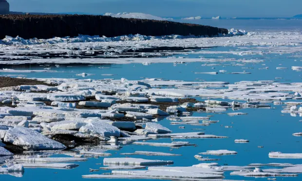 icebergs.webp