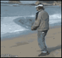 IMG-7295.gif