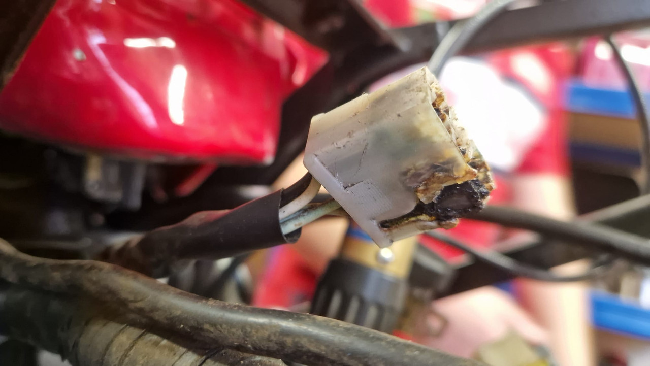 WhatsApp Image 2024-11-30 at 13.58.57_1c32730a