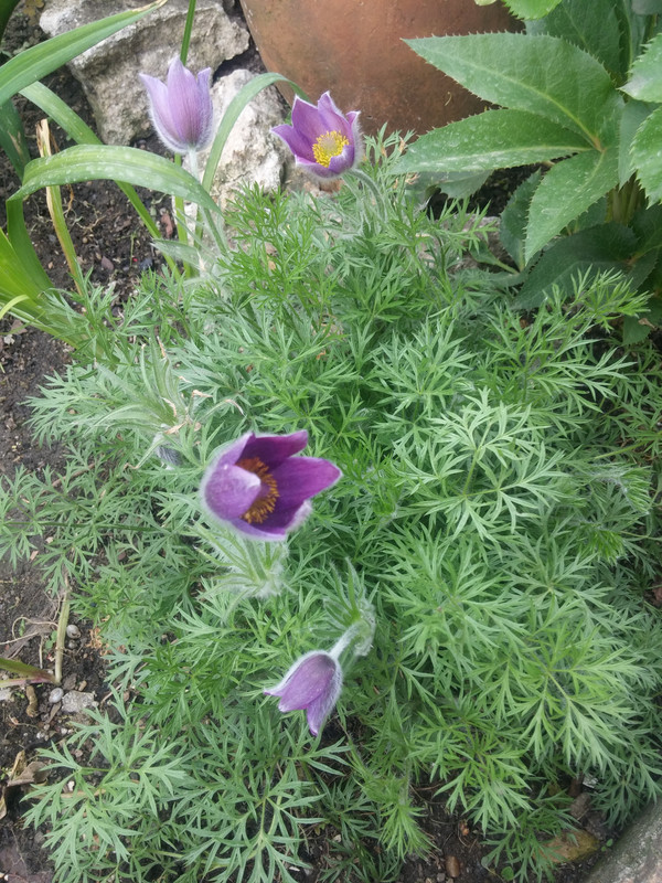 20190425_174258