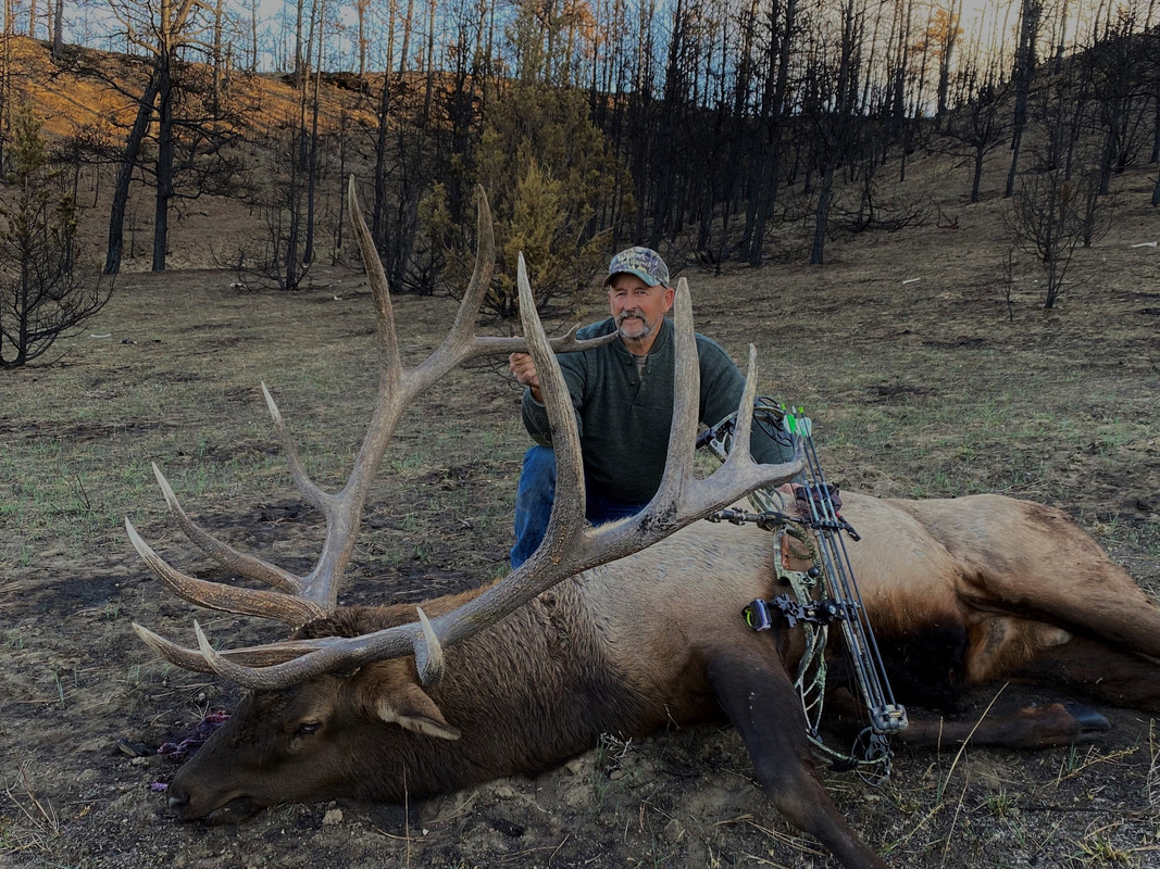 field pic 2020 bull (2)