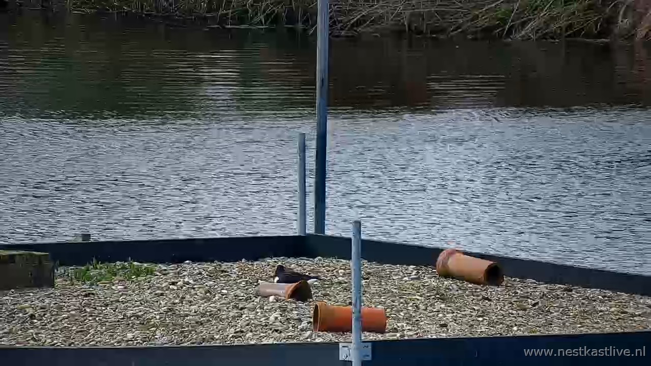 snapshot 2026 04 05T114757 053