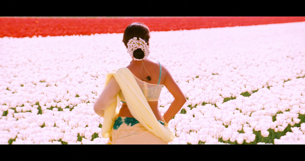 VideoCapture_20241122-195938