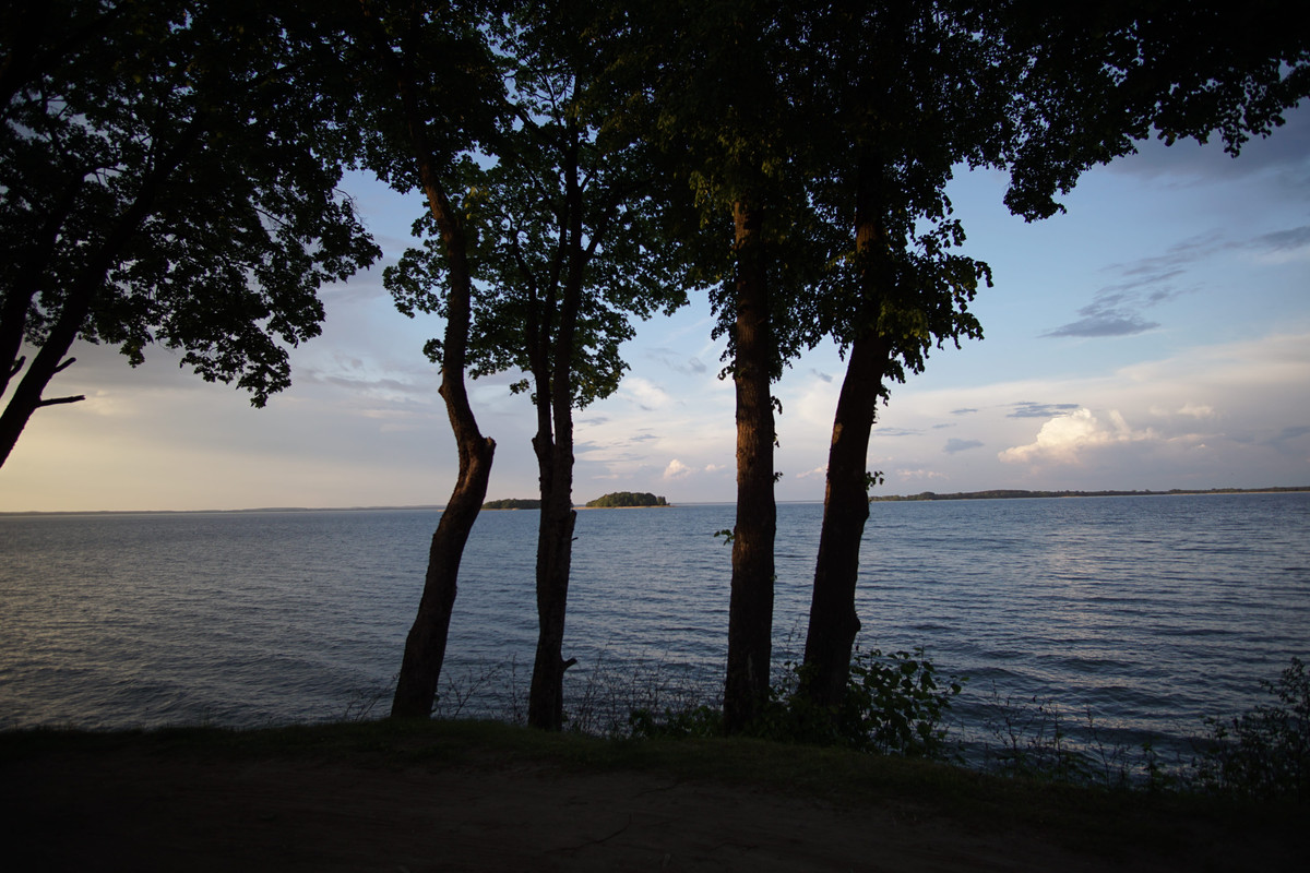 13a - DSC00510 (zbychowiec)