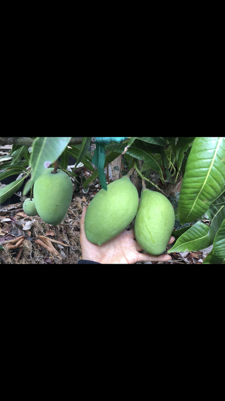 7944F29A-32D8-4AC4-8477-B1E4339DFED9