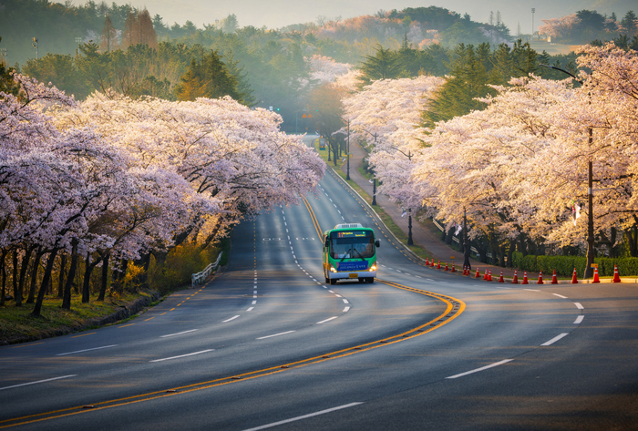 [Image: 1-10-1713938897.jpg]