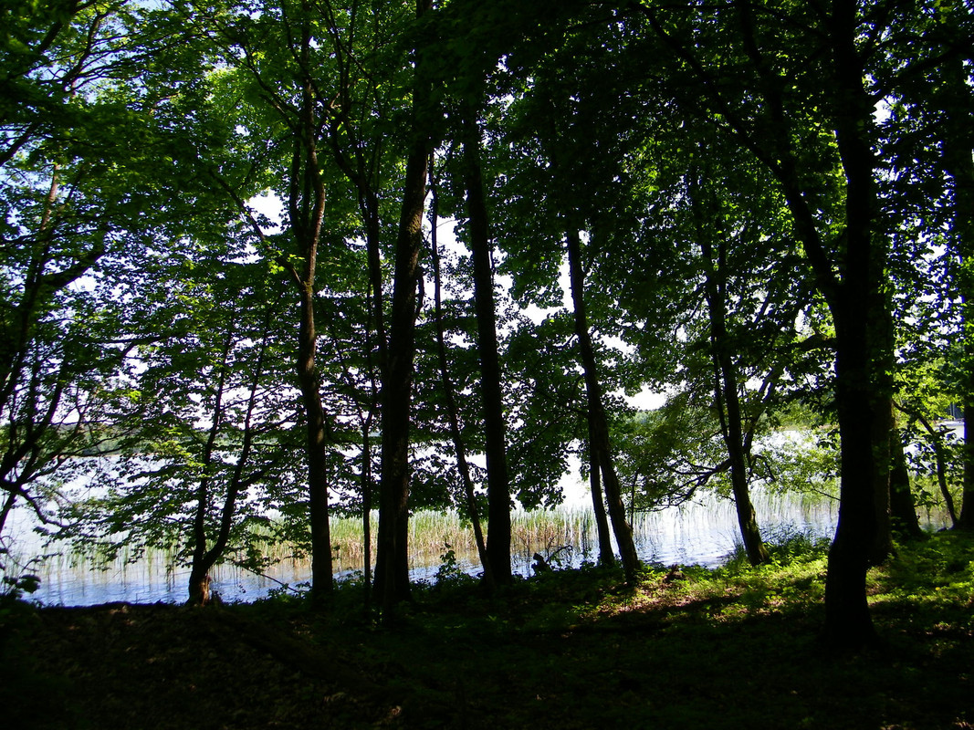 21 - 100_4061 (johny)