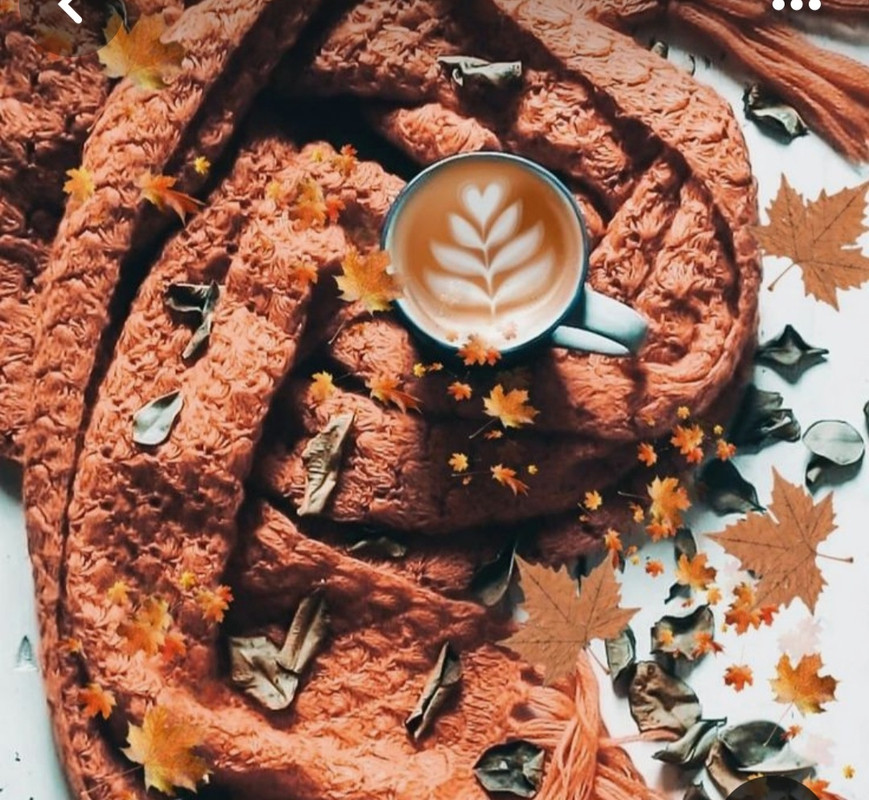 Screenshot_20230909_004759_Pinterest