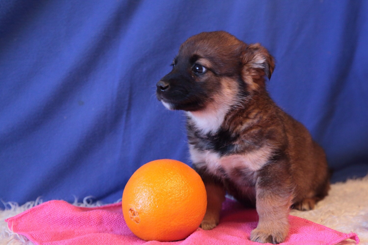 1903739B-169D-49E7-A431-4E8591433460