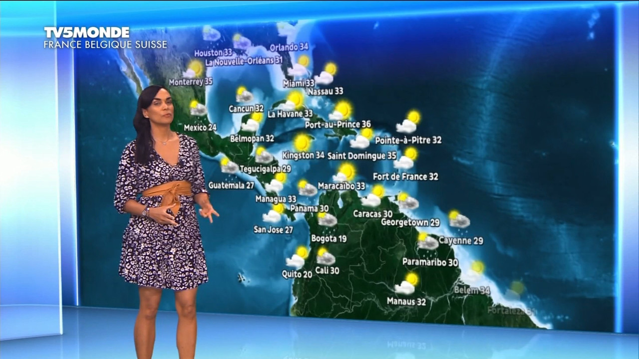 22 June - 17.25.00 - Météo. Le bulletin météorologique international.ts_snapshot_12.28.207