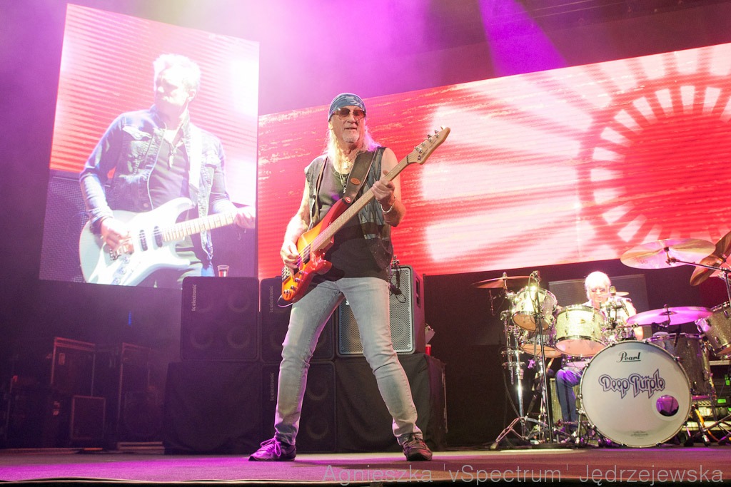 [Obrazek: v-Spectrum-Deep-Purple-5303.jpg]