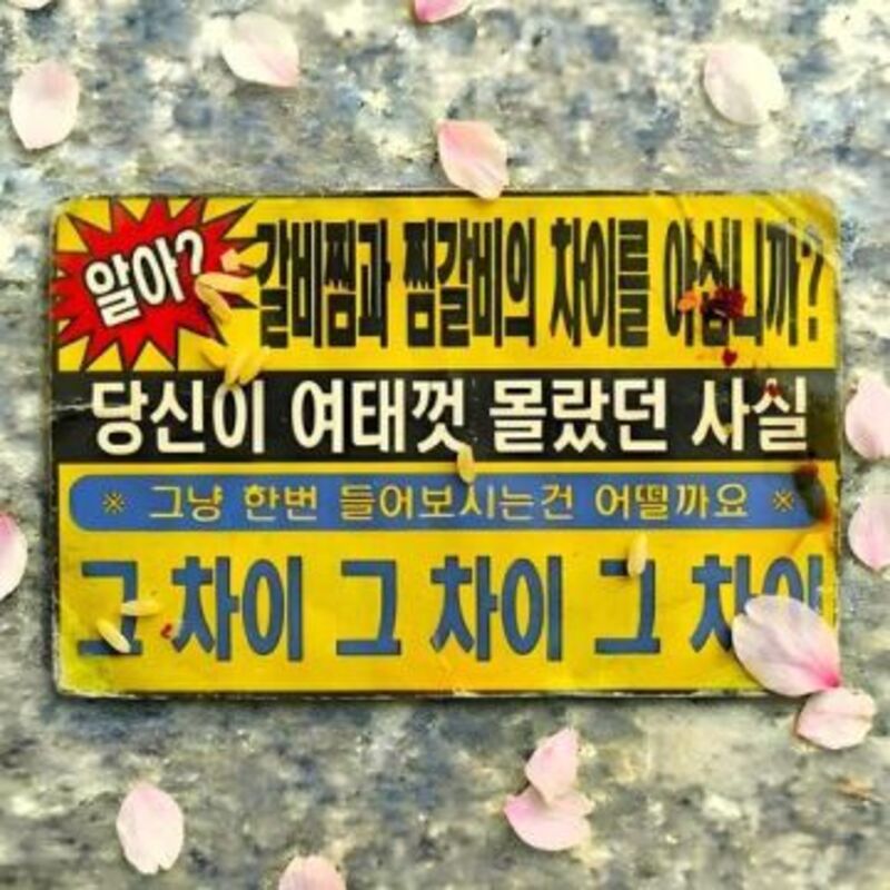 갈비찜과 찜갈비의 차이 - 버벌진트 (Verbal Jint) ALBUM COVER