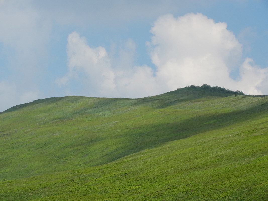 028 - DSC00828 (Ace79)