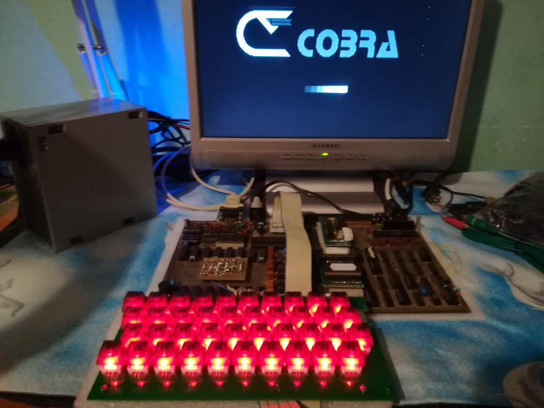cobra-209.jpg