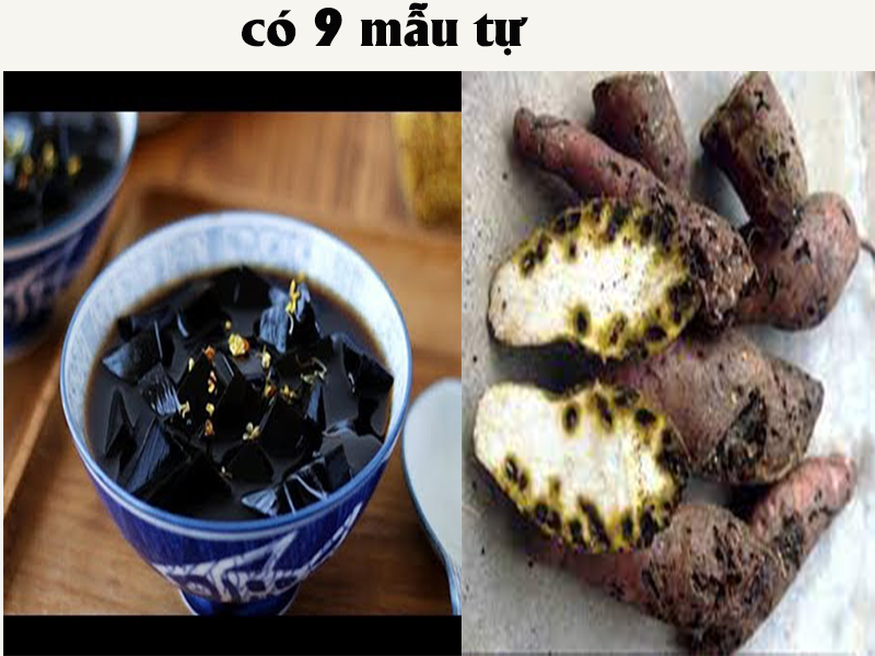 [Image: do-s.png]