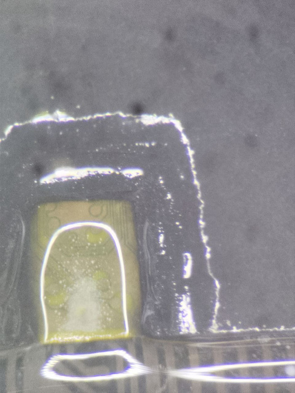 photo_2025-08-12_13-45-10