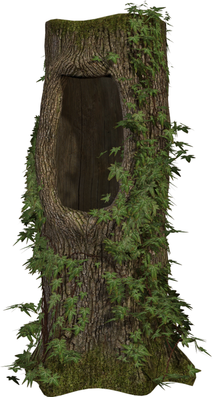 Autumn Witchery (144)