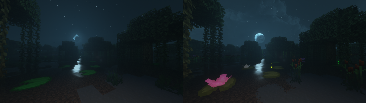 Swamp