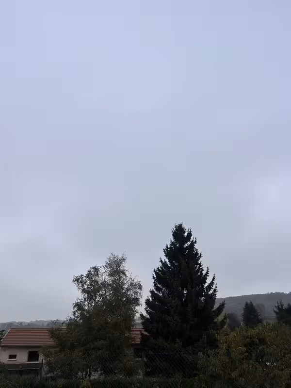 temp-Imageoy-TL0g.avif