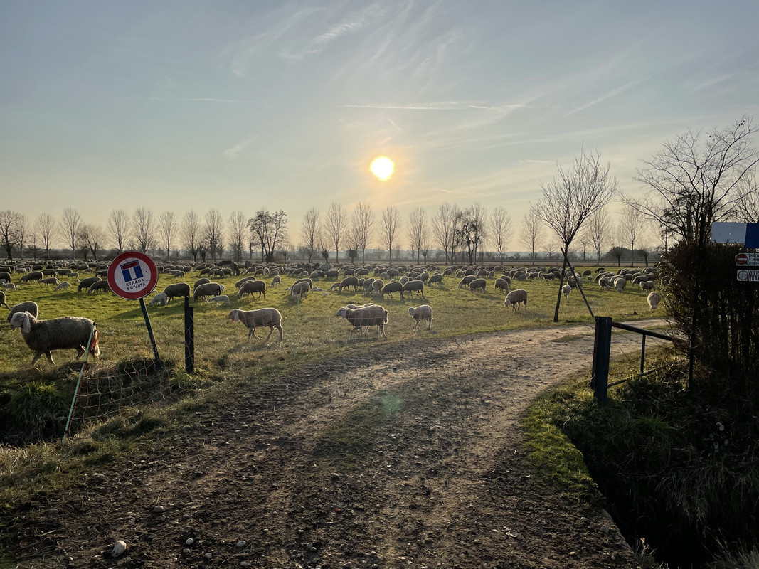 A6DD2FC1-9E0A-40F3-AE5A-CC56FA04DA73