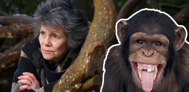 Maymun kadın Marina Chapman