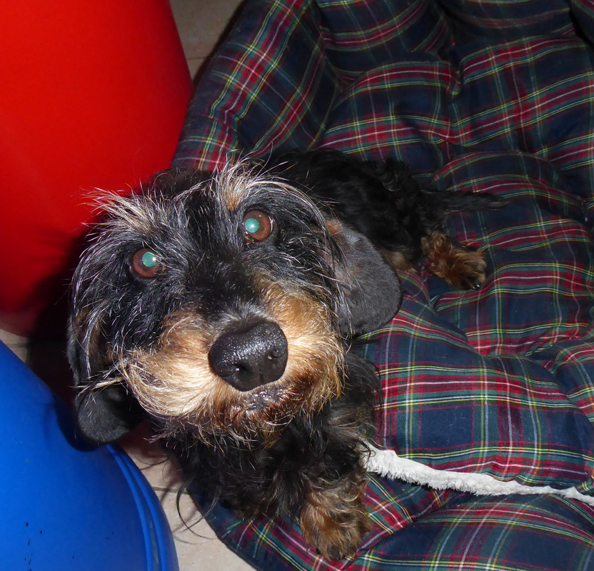 [Image: P1030216.jpg]