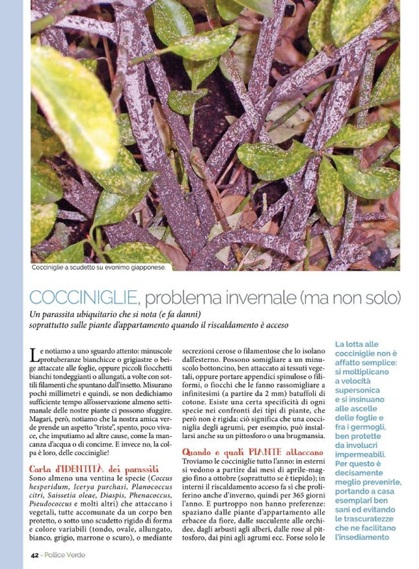 Pol Ver Nov-Dic 2021 (11)