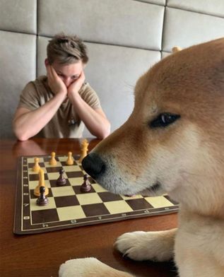 mmmchess.jpg