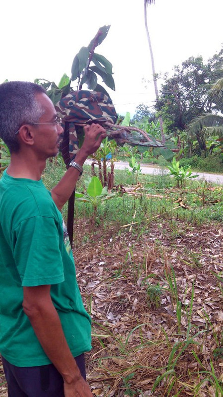 Terong, Perak -  270313 (1)
