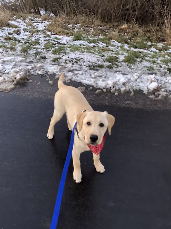 608DA956-1B9C-472A-9028-438E8ADD34E3